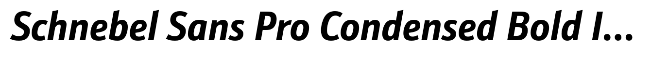 Schnebel Sans Pro Condensed Bold Italic